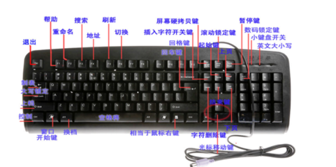 如何高效應(yīng)用電腦鍵盤(pán)上的各個(gè)鍵——計(jì)算機(jī)操作進(jìn)階指南