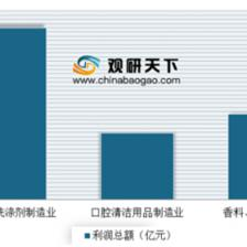 2019年中國(guó)塑料包裝市場(chǎng)分析報(bào)告 聚焦日用化學(xué)產(chǎn)品制造領(lǐng)域的運(yùn)營(yíng)現(xiàn)狀與投資商機(jī)